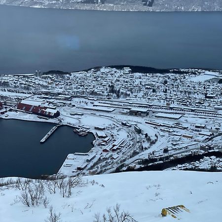 Narvik Sentrum Apartment Luaran gambar